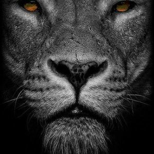 Meet your Posher, Derek